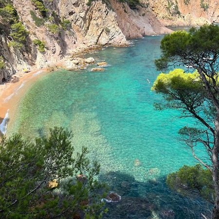 Zen Apartment Sea Views Tossa de Mar Extérieur photo